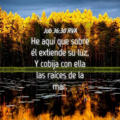 Picture 04 - Job 36:30 RVA - He aquí que sobre él extiende su luz, Y cobija - Bible Verse Picture