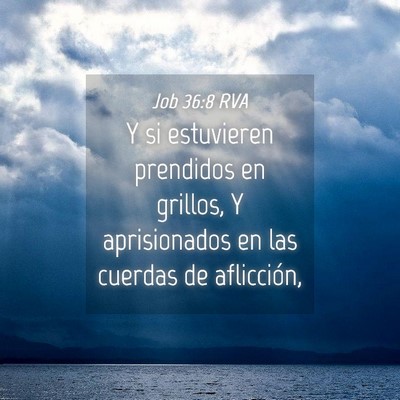 Picture 04 - Job 36:8 RVA - Y si estuvieren prendidos en grillos, Y - Bible Verse Picture