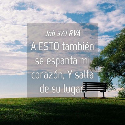 Picture 04 - Job 37:1 RVA - A ESTO también se espanta mi corazón, Y salta - Bible Verse Picture