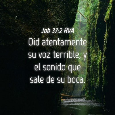 Picture 04 - Job 37:2 RVA - Oid atentamente su voz terrible, y el sonido que - Bible Verse Picture