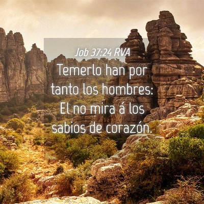 Picture 04 - Job 37:24 RVA - Temerlo han por tanto los hombres: El no mira á - Bible Verse Picture