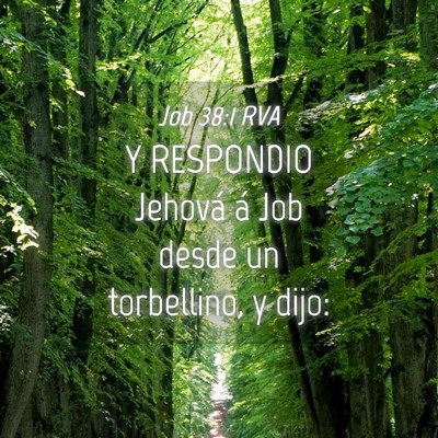 Picture 04 - Job 38:1 RVA - Y RESPONDIO Jehová á Job desde un torbellino, y - Bible Verse Picture