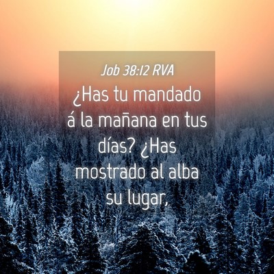 Picture 04 - Job 38:12 RVA - ¿Has tu mandado á la mañana en tus días? - Bible Verse Picture