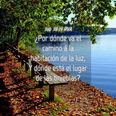 Picture 04 - Job 38:19 RVA - ¿Por dónde va el camino á la habitación de la - Bible Verse Picture