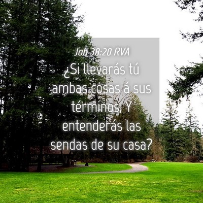Picture 04 - Job 38:20 RVA - ¿Si llevarás tú ambas cosas á sus términos, - Bible Verse Picture