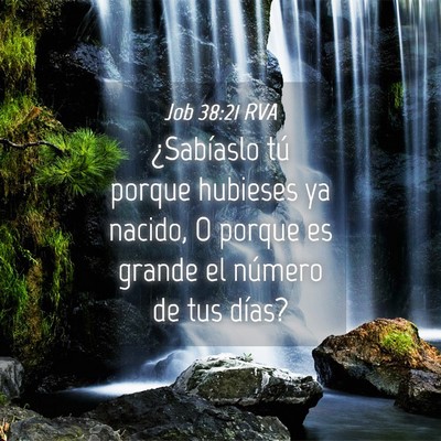 Picture 04 - Job 38:21 RVA - ¿Sabíaslo tú porque hubieses ya nacido, O - Bible Verse Picture