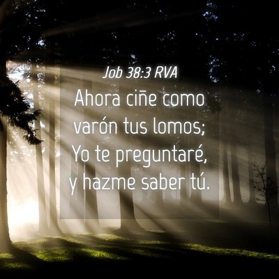 Picture 04 - Job 38:3 RVA - Ahora ciñe como varón tus lomos; Yo te - Bible Verse Picture