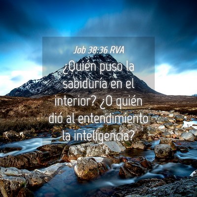 Picture 04 - Job 38:36 RVA - ¿Quién puso la sabiduría en el interior? ¿O - Bible Verse Picture