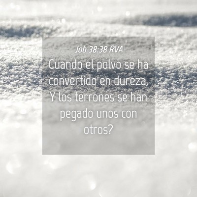 Picture 04 - Job 38:38 RVA - Cuando el polvo se ha convertido en dureza, Y los - Bible Verse Picture