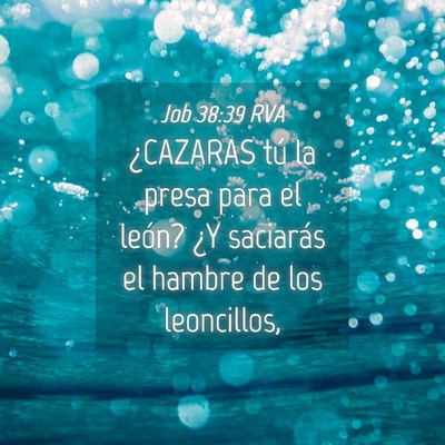 Picture 04 - Job 38:39 RVA - ¿CAZARAS tú la presa para el león? ¿Y - Bible Verse Picture