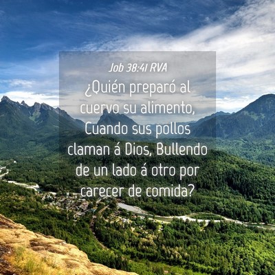 Picture 04 - Job 38:41 RVA - ¿Quién preparó al cuervo su alimento, Cuando - Bible Verse Picture