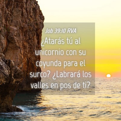 Picture 04 - Job 39:10 RVA - ¿Atarás tú al unicornio con su coyunda para el - Bible Verse Picture