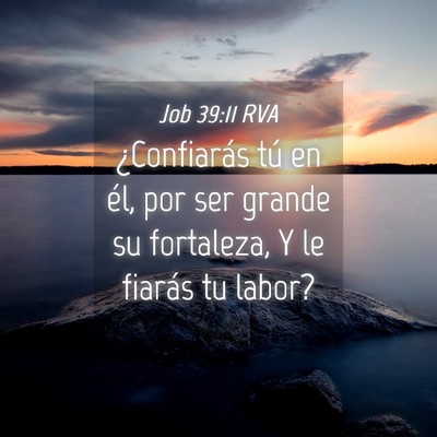 Picture 04 - Job 39:11 RVA - ¿Confiarás tú en él, por ser grande su - Bible Verse Picture