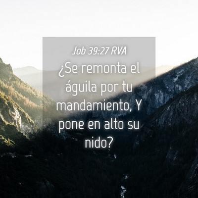 Picture 04 - Job 39:27 RVA - ¿Se remonta el águila por tu mandamiento, Y - Bible Verse Picture