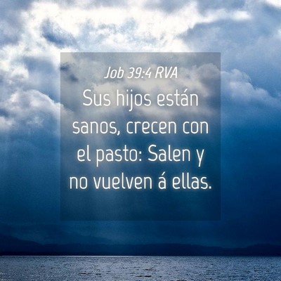 Picture 04 - Job 39:4 RVA - Sus hijos están sanos, crecen con el pasto: - Bible Verse Picture