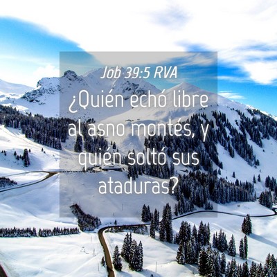 Picture 04 - Job 39:5 RVA - ¿Quién echó libre al asno montés, y quién - Bible Verse Picture