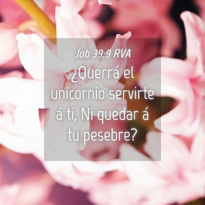 Picture 04 - Job 39:9 RVA - ¿Querrá el unicornio servirte á ti, Ni quedar - Bible Verse Picture
