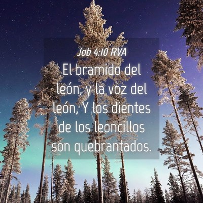 Picture 04 - Job 4:10 RVA - El bramido del león, y la voz del león, Y los - Bible Verse Picture