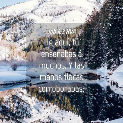 Picture 04 - Job 4:3 RVA - He aquí, tú enseñabas á muchos, Y las manos - Bible Verse Picture