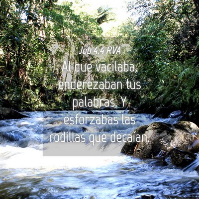 Picture 04 - Job 4:4 RVA - Al que vacilaba, enderezaban tus palabras, Y - Bible Verse Picture