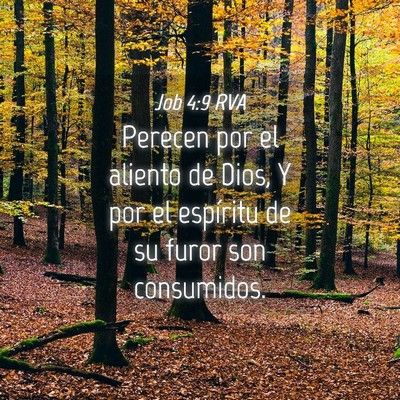 Picture 04 - Job 4:9 RVA - Perecen por el aliento de Dios, Y por el - Bible Verse Picture