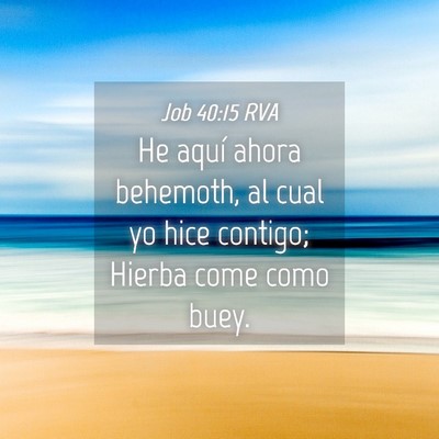 Picture 04 - Job 40:15 RVA - He aquí ahora behemoth, al cual yo hice contigo; - Bible Verse Picture
