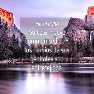 Picture 04 - Job 40:17 RVA - Su cola mueve como un cedro, Y los nervios de sus - Bible Verse Picture