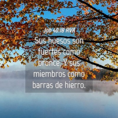 Picture 04 - Job 40:18 RVA - Sus huesos son fuertes como bronce, Y sus - Bible Verse Picture