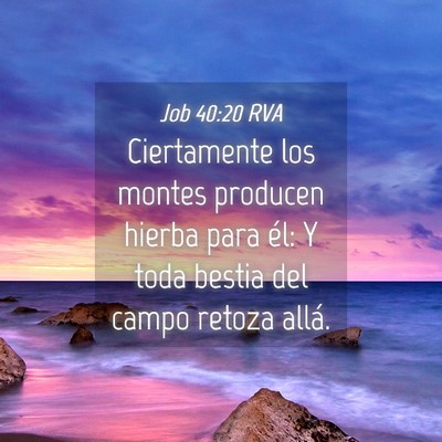 Picture 04 - Job 40:20 RVA - Ciertamente los montes producen hierba para él: - Bible Verse Picture
