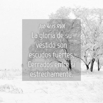 Picture 04 - Job 41:15 RVA - La gloria de su vestido son escudos fuertes, - Bible Verse Picture