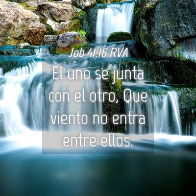 Picture 04 - Job 41:16 RVA - El uno se junta con el otro, Que viento no entra - Bible Verse Picture