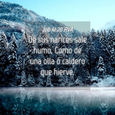 Picture 04 - Job 41:20 RVA - De sus narices sale humo, Como de una olla ó - Bible Verse Picture