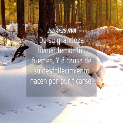 Picture 04 - Job 41:25 RVA - De su grandeza tienen temor los fuertes, Y á - Bible Verse Picture