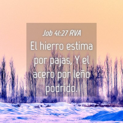 Picture 04 - Job 41:27 RVA - El hierro estima por pajas, Y el acero por leño - Bible Verse Picture