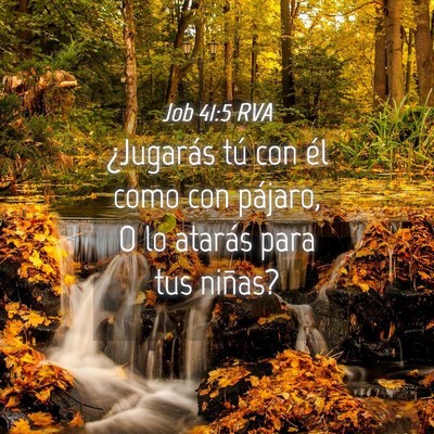 Picture 04 - Job 41:5 RVA - ¿Jugarás tú con él como con pájaro, O lo - Bible Verse Picture