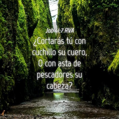 Picture 04 - Job 41:7 RVA - ¿Cortarás tú con cuchillo su cuero, O con asta - Bible Verse Picture
