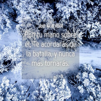 Picture 04 - Job 41:8 RVA - Pon tu mano sobre él; Te acordarás de la - Bible Verse Picture