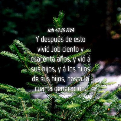 Picture 04 - Job 42:16 RVA - Y después de esto vivió Job ciento y cuarenta - Bible Verse Picture