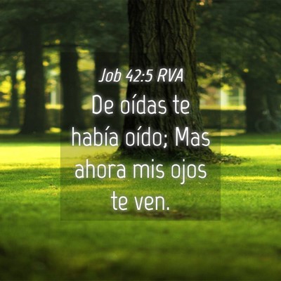 Picture 04 - Job 42:5 RVA - De oídas te había oído; Mas ahora mis ojos te - Bible Verse Picture