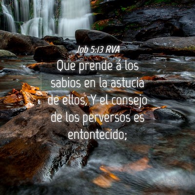 Picture 04 - Job 5:13 RVA - Que prende á los sabios en la astucia de ellos, - Bible Verse Picture