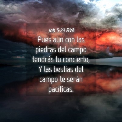 Picture 04 - Job 5:23 RVA - Pues aun con las piedras del campo tendrás tu - Bible Verse Picture