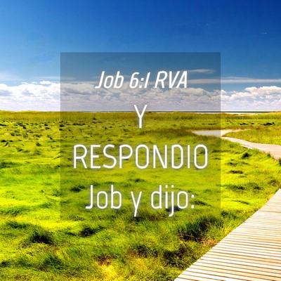 Picture 04 - Job 6:1 RVA - Y RESPONDIO Job y - Bible Verse Picture