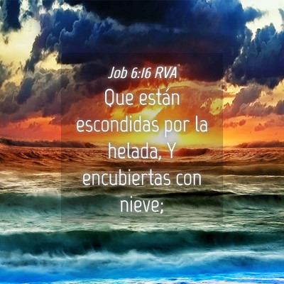 Picture 04 - Job 6:16 RVA - Que están escondidas por la helada, Y - Bible Verse Picture