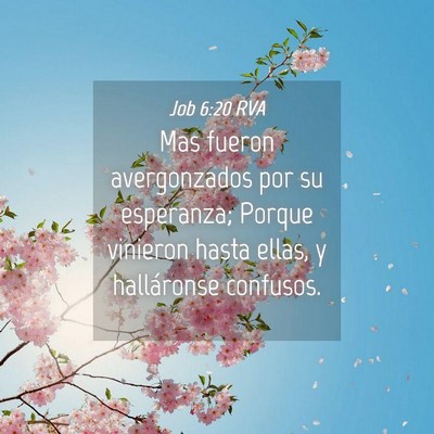 Picture 04 - Job 6:20 RVA - Mas fueron avergonzados por su esperanza; Porque - Bible Verse Picture