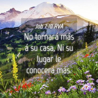 Picture 04 - Job 7:10 RVA - No tornará más á su casa, Ni su lugar le - Bible Verse Picture