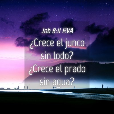 Picture 04 - Job 8:11 RVA - ¿Crece el junco sin lodo? ¿Crece el prado sin - Bible Verse Picture