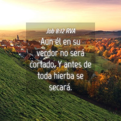 Picture 04 - Job 8:12 RVA - Aun él en su verdor no será cortado, Y antes de - Bible Verse Picture