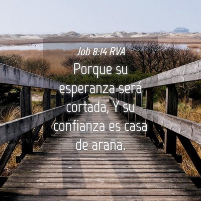 Picture 04 - Job 8:14 RVA - Porque su esperanza será cortada, Y su confianza - Bible Verse Picture
