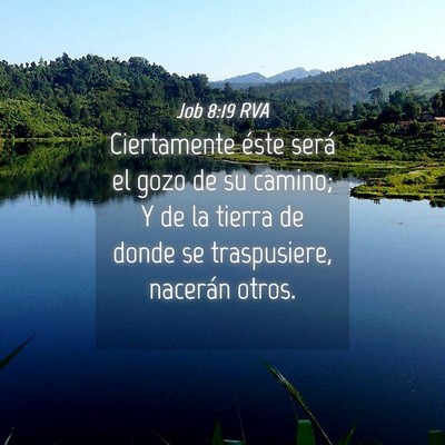 Picture 04 - Job 8:19 RVA - Ciertamente éste será el gozo de su camino; Y - Bible Verse Picture