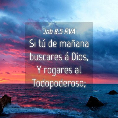 Picture 04 - Job 8:5 RVA - Si tú de mañana buscares á Dios, Y rogares al - Bible Verse Picture